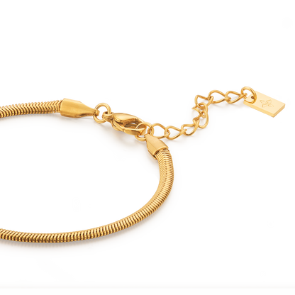 3mm Afra anklet