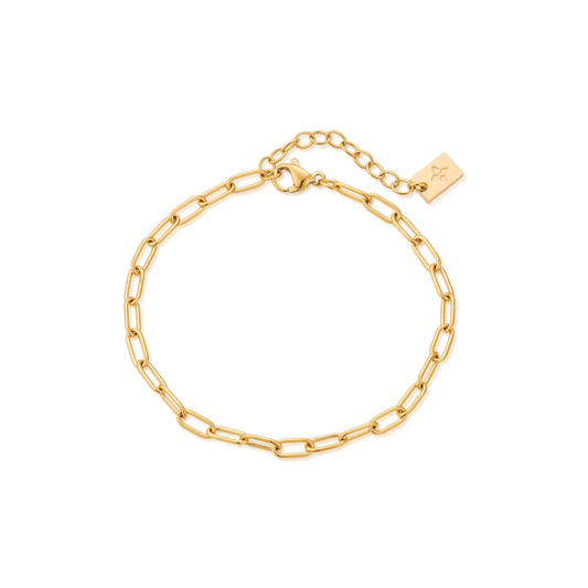 3mm Ezia anklet