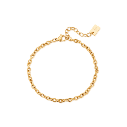 3mm Fina anklet