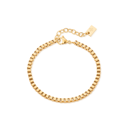 3mm Veda anklet