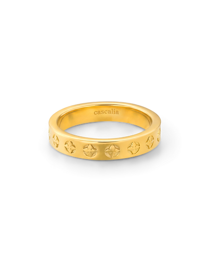 Aria ring