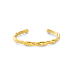 Vezzo bangle
