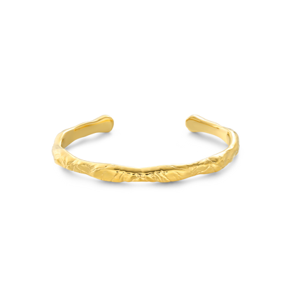 Vezzo bangle