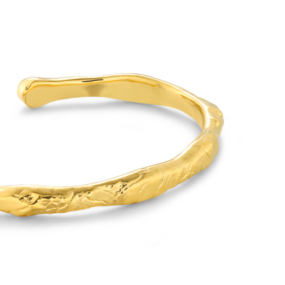Vezzo bangle
