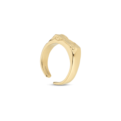 Cerchio ring