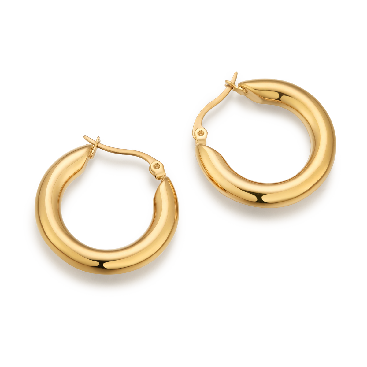 Lucia earrings
