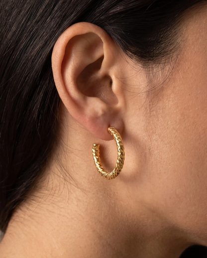 Noemi earrings