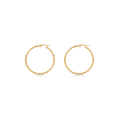 Vera earrings